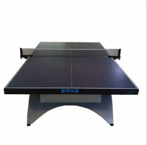 銀彩虹乒乓球臺